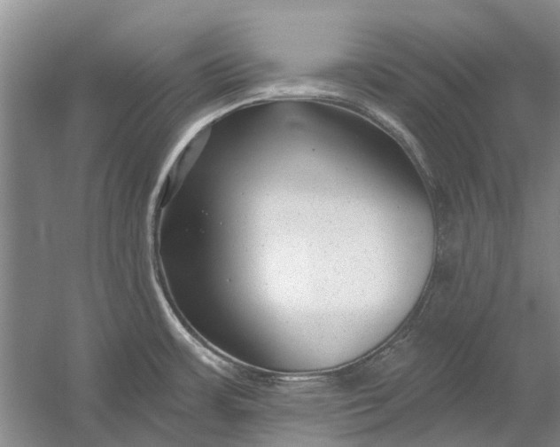 X0000054381483200508191859