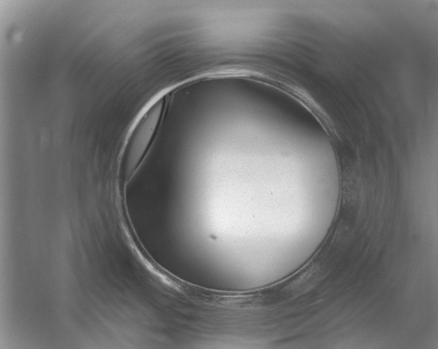 X0000054381484200508191859