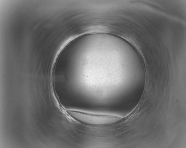 X0000054381488200508191859