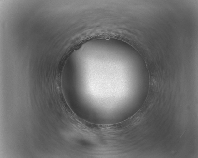 X0000054381490200508191858
