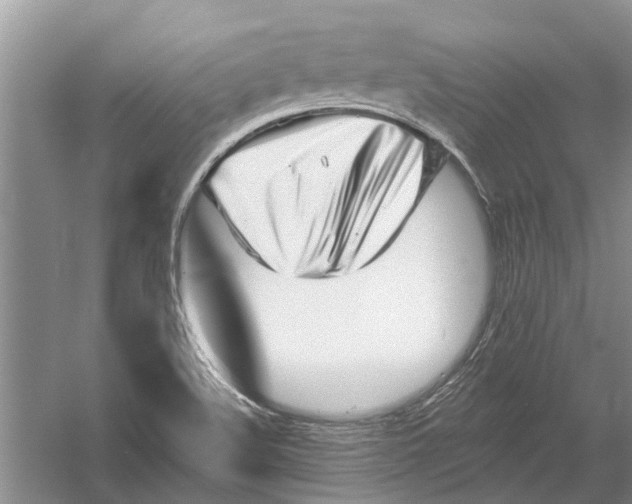 X0000054381508200508191859