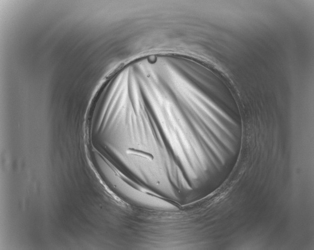 X0000054381517200508191859