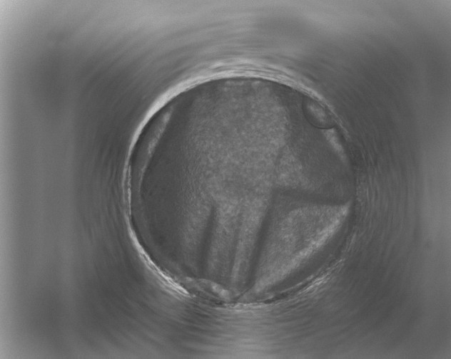 X0000054381522200508191859