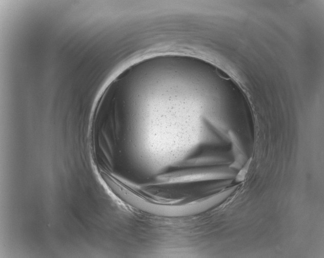 X0000054381536200508191859
