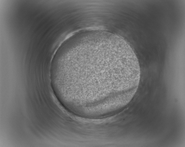 X0000054380002200508270020