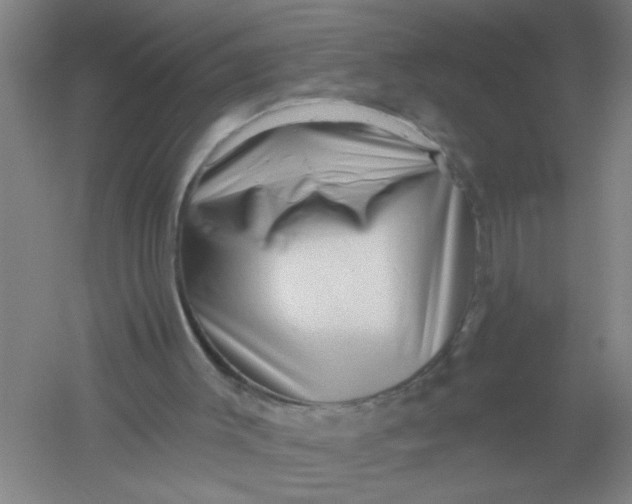 X0000054380003200508270020