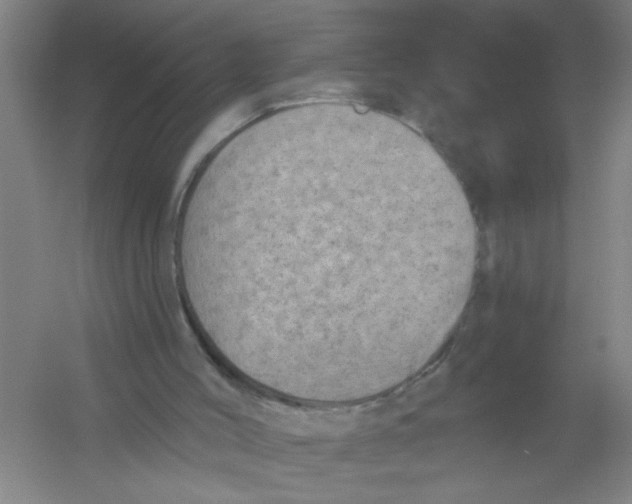 X0000054380004200508270020