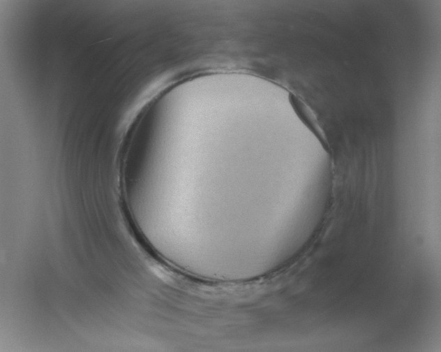 X0000054380005200508270020