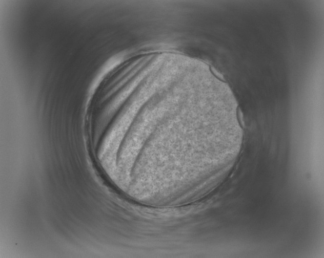 X0000054380006200508270020