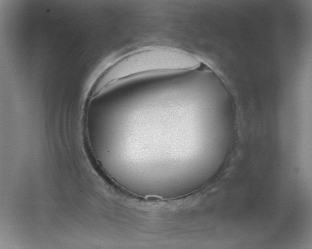 X0000054380007200508270020