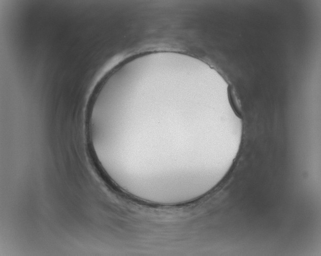 X0000054380008200508270020