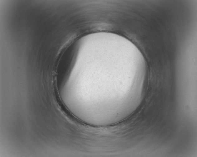 X0000054380010200508270019