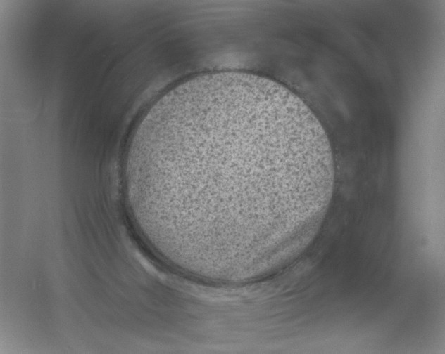 X0000054380012200508270019