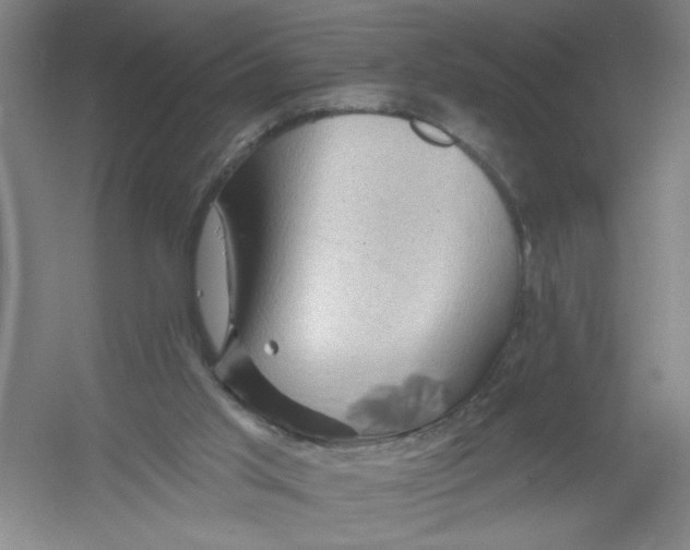 X0000054380013200508270019