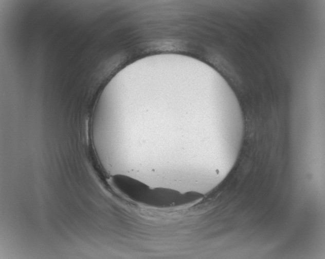 X0000054380014200508270019