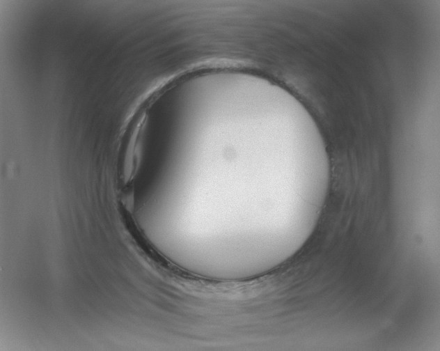 X0000054380015200508270019