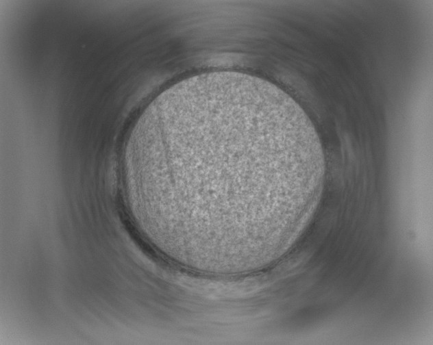 X0000054380016200508270019