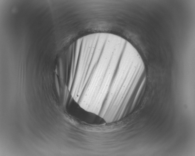 X0000054380017200508270019