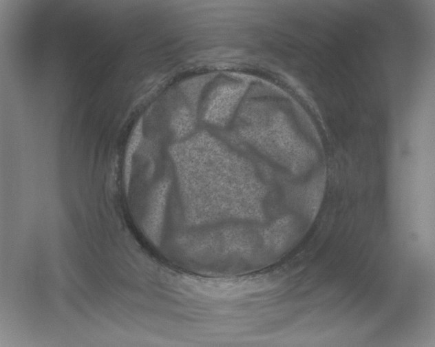 X0000054380018200508270019