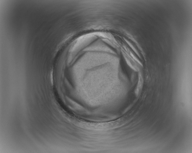 X0000054380019200508270019