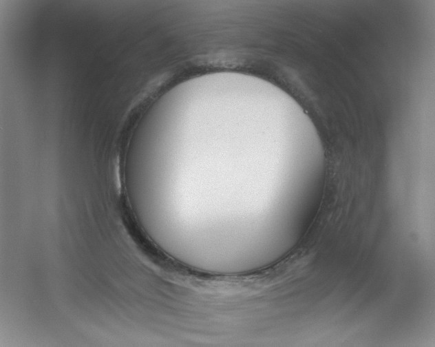 X0000054380020200508270019