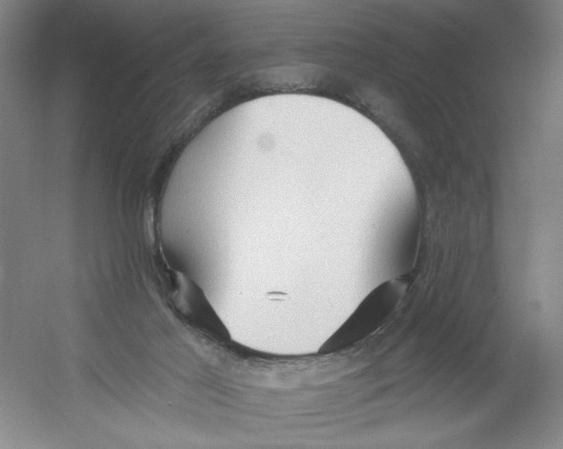 X0000054380021200508270019