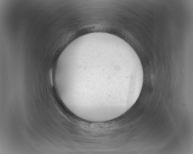 X0000054380022200508270019