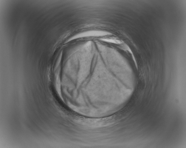 X0000054380023200508270019