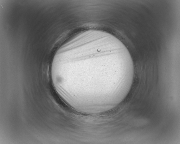 X0000054380024200508270019