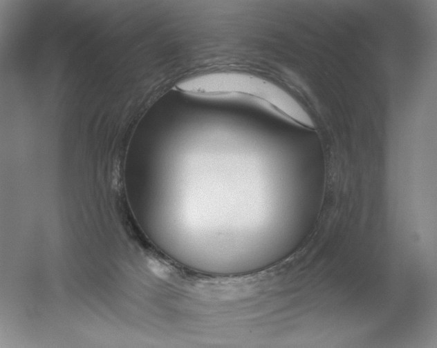 X0000054380025200508270019