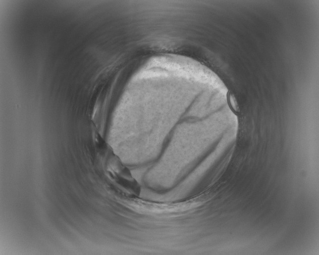 X0000054380027200508270019