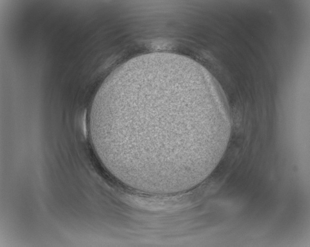 X0000054380028200508270019