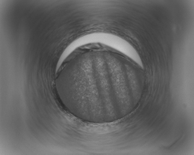 X0000054380029200508270019