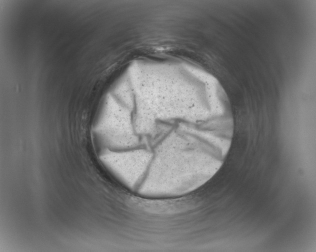 X0000054380030200508270019