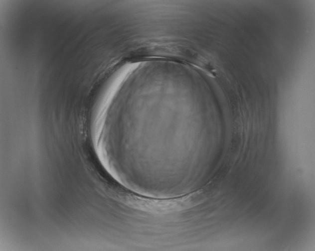 X0000054380031200508270019