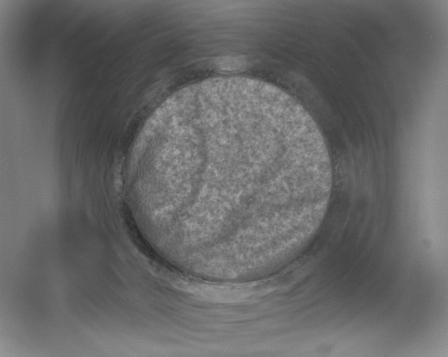 X0000054380032200508270019