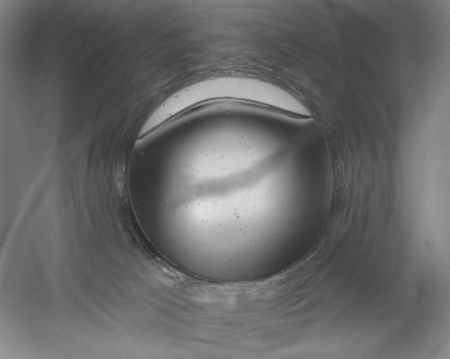 X0000054380033200508270019