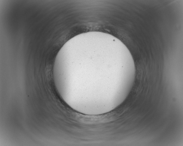 X0000054380034200508270019