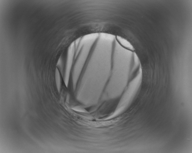 X0000054380035200508270019