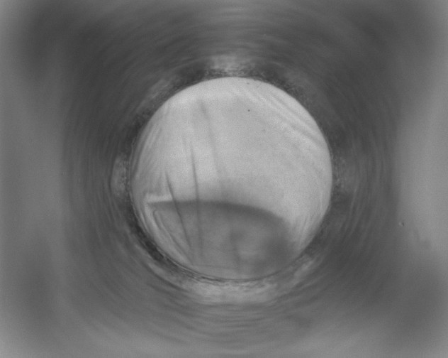 X0000054380036200508270019