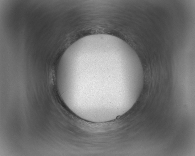 X0000054380038200508270019