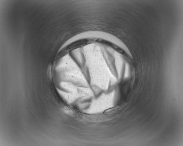 X0000054380041200508270019