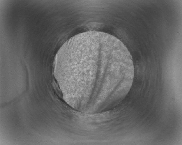 X0000054380042200508270019