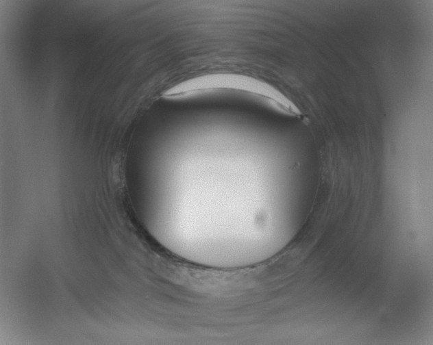 X0000054380044200508270019