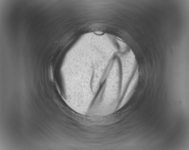 X0000054380046200508270019