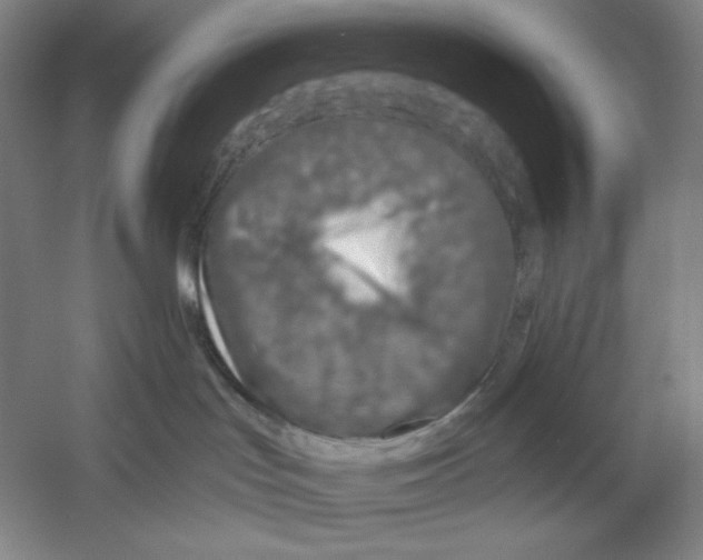 X0000054380047200508270019