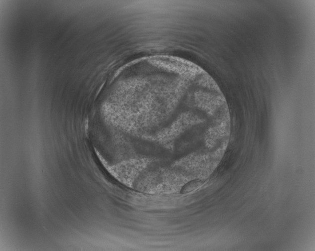 X0000054380048200508270019