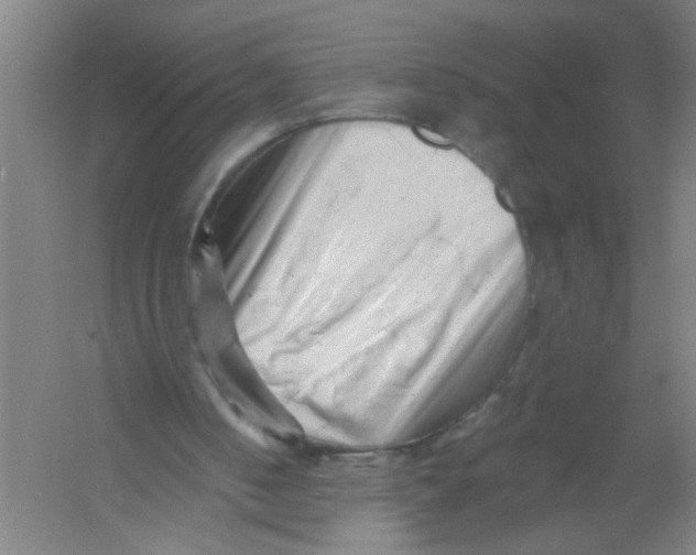 X0000054380050200508270018