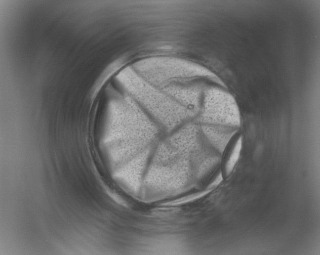 X0000054380051200508270018