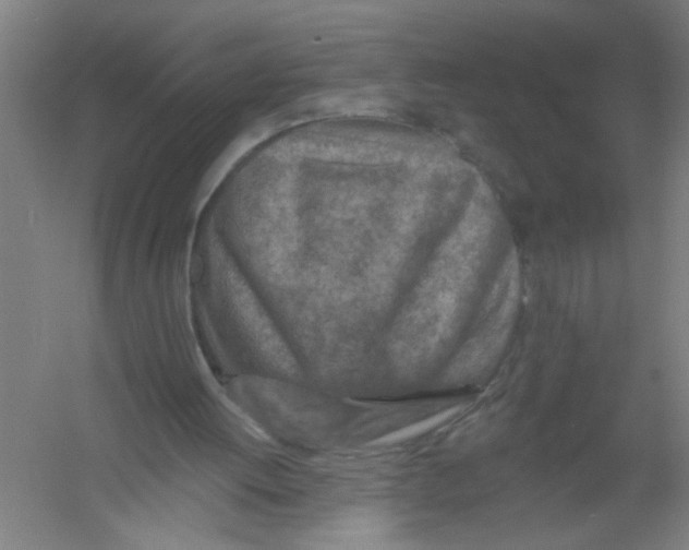 X0000054380052200508270018